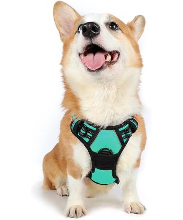 Rabbitgoo dog harness medium -sized dogs anti train crockery dog with control no pull adjustable dog harness large dogs breathable reflex stripes breast harness dog safe guided tour green m (1 Pack) mint green