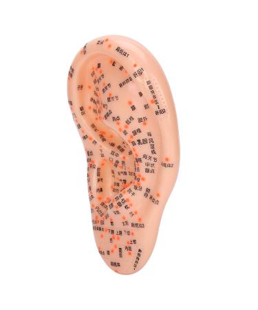 Buy Ear Massage Acupuncture Model | Safe PVC Material for Home Medicine | International Shipping - Buy Online on SooperMarket.com