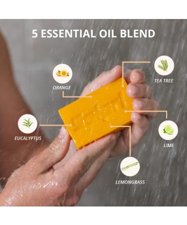 Solpri Shield Tea Tree Soap Bar 4 oz (2 Pack) with Lemongrass Eucalyptus Oil - Skin Safe for Jock Itch & Athlete's Foot - Buy Online on SooperMarket.com