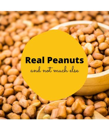 Vegan Mini Peanut Butter Bars Variety Pack - High Protein, Low Sugar, Low Calorie, Gluten Free - 3 Bags with 10 Individually Wrapped Pieces - Crunchy Plant Based Snack - 3 Pack - Buy Online on SooperMarket.com