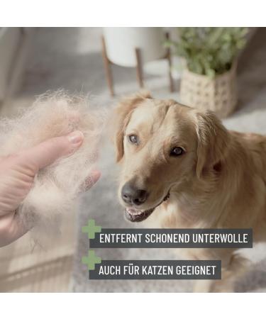 Reavet Dog & Cat Brush - Underwool & Top Hair Care for Long-Haired Breeds (Size M-L) | Massage Effect & Fur Protection - Buy Online on SooperMarket.com