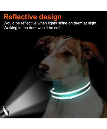 Joytale Reflective Dog Collar - Adjustable & Padded Nylon Collar for Dogs - 12 Colors - Small to Extra Large Sizes - Teal - Buy Online on SooperMarket.com