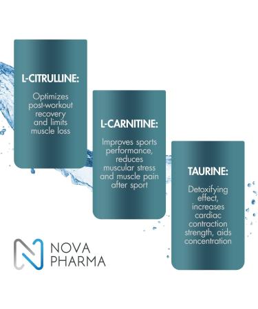 Nova Pharma Punch Out Pre Workout Powder L-Carnitine and Antioxidant-Rich Pre Workout Supplement Boost Stamina and Endurance for Gym Training and Workouts - 40 Servings (Dragon Fruit) - Buy Online on SooperMarket.com