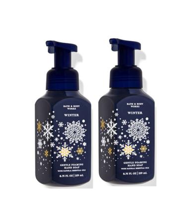 Bath and Body Works Winter Gentle Foaming Hand Soap 2-Pack 8.75 Ounce (Winter) Winter 8.75 Ounce