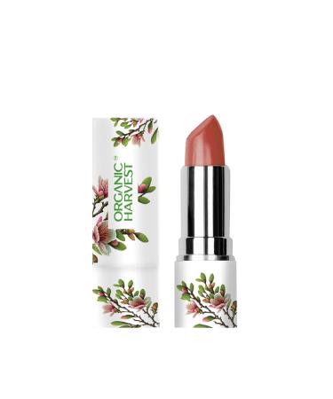 Moisture Matte Lipstick - Rosewood Brown | Long-lasting Brown Creamy Matte Lipstick | Hydrating Formula | Certified Organic Makeup | Cruelty-free & Vegan 4gm