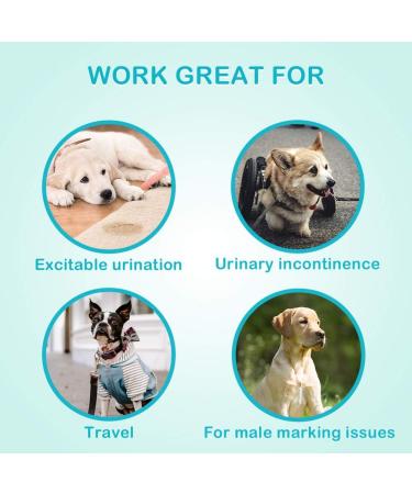 24 Pack S Disposable Dog Diapers for Male Dogs - Fits Waist 30-48cm | Small White - Premium Absorbent & Leakproof - Buy Online on SooperMarket.com