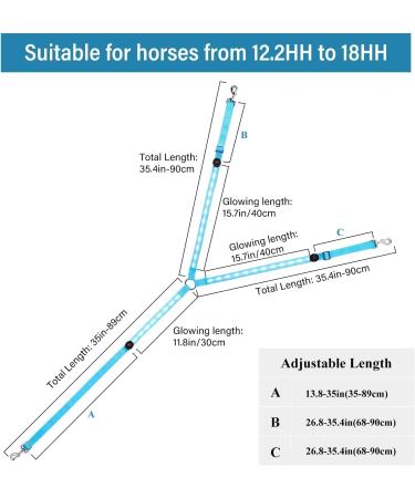 LED Horse Breastplate Collar-Best High Visibility for Horseback Riding-Adjustable-Sturdy and Comfortable Equestrian Safety Gear-for Night Horse Riding (Blue) - Buy Online on SooperMarket.com
