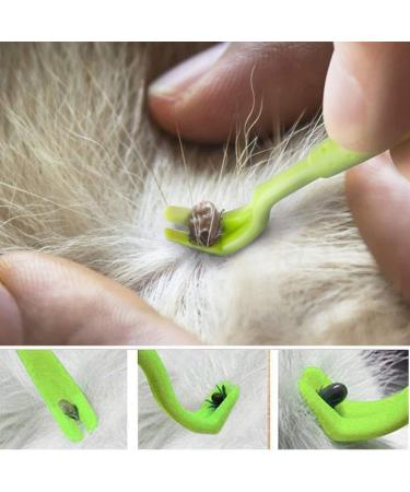 EasyULT 7Pcs Tick Remover Tool Tick Remover Kit with Set of 5 Tick Hook 2 Tick Removal Pen Painlessly Tick Remover for Dogs Cats Humans(Green) Green1 - Buy Online on SooperMarket.com