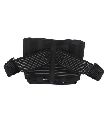 Alomejor Waist Support Belt Waist Support Belt Waist Support Brace Lumbar Support Brace Fortable Stretch Mesh Steel Plate Lumbar Waist Belt with Warm Pad Marine GPS Chartplotters (L) L L