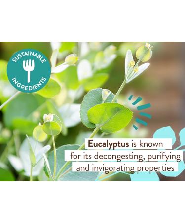Babo Botanicals Eucalyptus Remedy Shampoo & Wash - Eucalyptus & Rosemary Oils - EWG Verified, Vegan & Cruelty-Free - 16 fl. oz - Buy Online on SooperMarket.com