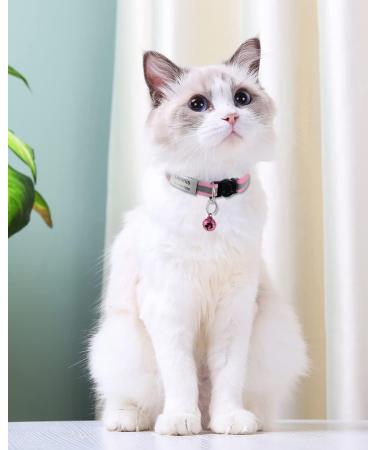 Tagme Cat Collar - 2 Pack Pink Adjustable Neck Band with Name & Phone Number Safety Clasp & Bell Standard Size 18-31 cm - Buy Online on SooperMarket.com