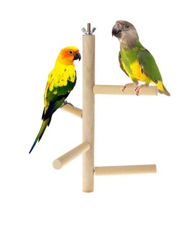 Parakeet Perch,Bird Natural Wood Stand,Parrot Cage Top Wooden Branches for Standing,Toys for Small Medium Parrots Conure Budgie Lovebirds