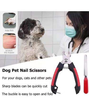 ZLXFT Nail Scissors for Dogs and Cats Rabbit Nail Scissors Stainless Steel Claw Clippers Claw Care Cutter for Pets Claw Care for Small Animals - Buy Online on SooperMarket.com