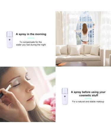 Beavorty 2pcs Air Diffuser Facial Mister Portable Beauty Spray Water Meter Carburetor Hydrating Face Steamer - Buy Online on SooperMarket.com