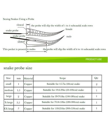 PETSTARCX 6 Pack Round Ball Tip Reptiles Snake Probe Portable Probe Kit - Buy Online on SooperMarket.com