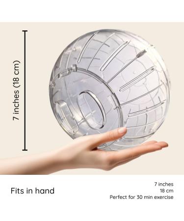 Hamster Inc Hamster ball 7 (18cm) Running exercise ball for Hamsters and Mice Light blue - Buy Online on SooperMarket.com