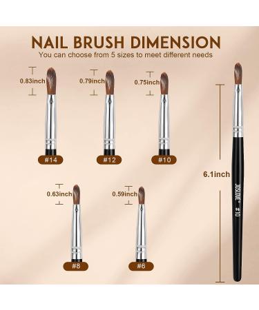 JOSLOVE 5Pcs Kolinsky Acrylic Nail Brush Set - Sizes 6/8/10/12/14 for Acrylic Powder Application - Wooden Handle - Ideal for Beginner & Professional DIY Nail Extensions - Buy Online on SooperMarket.com
