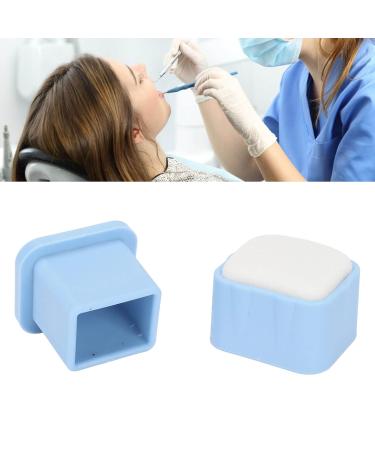 Endodontic File Cleaning Stand - Autoclavable Dental Endo File Holder (Blue) for Hospitals | Professional Cleaning Sponge - Buy Online on SooperMarket.com
