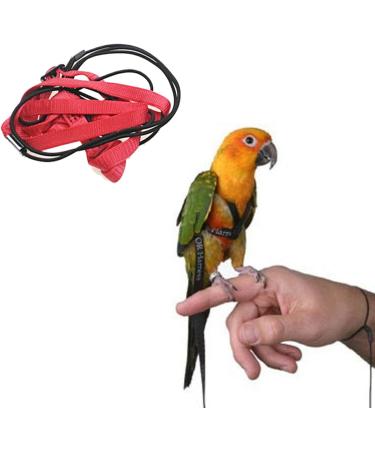 Premium Bird Leash & Dishes - Anti-Bite Flight Training Rope for Small Birds | Perfect for Nymphensittich & Outdoor Use - Buy Online on SooperMarket.com