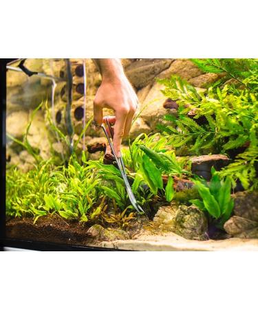 VORESTIC 25cm Curved Aquarium Scissors - Aquascaping Tools for Terrarium Plants - Buy Online on SooperMarket.com