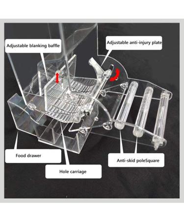 Automatic Foraging Bird Seed Feeder for Cage Parrot | Heavy Acrylic Construction | Easy One-Step Moulding Design - Buy Online on SooperMarket.com