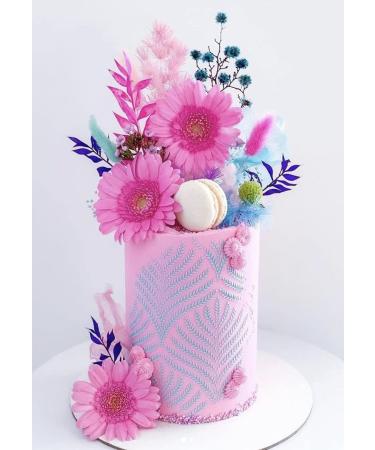 Colour Mill Edible Food Paint - 20ml Peach Liquid Dye for Baking Icing & Fondant - Buy Online on SooperMarket.com