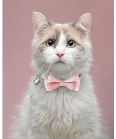Tagme Personalized Cat Collar with Name & Phone Number - Safe Closure & Bell - Baby Pink Plaid - Perfect for Kittens - Buy Online on SooperMarket.com