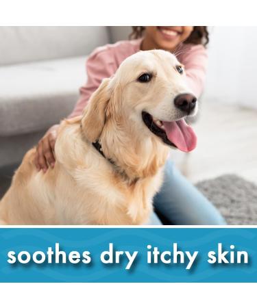 Oatmeal Aloe Vera Dog Shampoo for Dry Itchy Flaky Skin Gentle on Sensitive Skin & Hypoallergenic | Natural Soothing Anti Itch Anti Dandruff & Allergy Relief Dog Conditioner | Pikes Pouches (300ml) 300 ml (Pack of 1) - Buy Online on SooperMarket.com