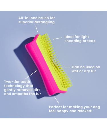 Tangle Teezer | Pet Teezer | Detangling and Dog Grooming Brush | Dry Brush or Dog Bath Brush | Pink & Yellow Pink & Yellow 1 Count (Pack of 1) - Buy Online on SooperMarket.com