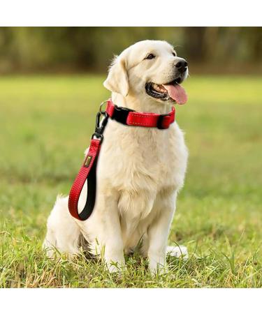 PLUTUS PET Strong Training Dog Lead with Rock Climing Carabiner Clip Relective Nylon Dog leash Padded Handle Training Lead for Large and Medium Dogs(25cm Red) 25 cm (Pack of 1) Red - Buy Online on SooperMarket.com
