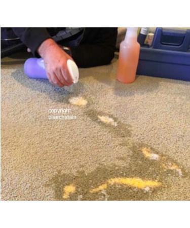 Homeowners Spot Dye Kit | Restore Carpet Color & Repair Discoloration from Bleach Acne Meds & Chemical Marks - Buy Online on SooperMarket.com