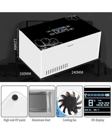 Insulin Refrigerated Box Portable Medicine Cooler Refrigerator Built-Battery Travel Car Refrigerator for Travel Home Constant Temperature Reefer Rechargeable (Color : 3batteries) - Buy Online on SooperMarket.com