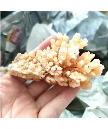 Natural Crystal Rough Rare Natural Raw Quartz Crystal Cluster Stones Crystal Point Specimen Home Decoration Raw Crystals Beautiful (Size : 230-280g) - Buy Online on SooperMarket.com