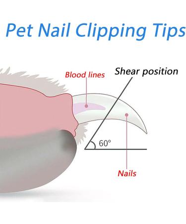 Professional Cat Claw Scissors | Bsitsss Nail Clipper for Cats & Small Dogs | Claw Cutter with Protection & Adjustable Holes - Buy Online on SooperMarket.com