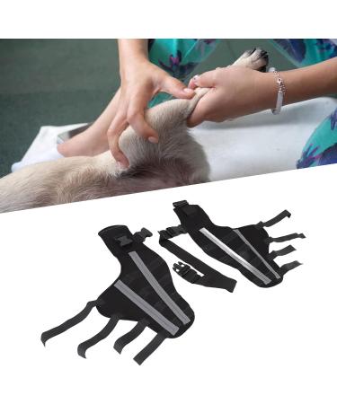 Dog Back Leg Brace Shockproof Inflammation Reduction Pet Knee Joint Protector Stable Pain Relief for Injury Recovery (S) - Buy Online on SooperMarket.com
