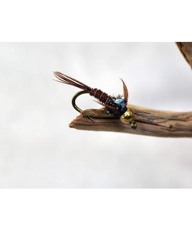 Bead Head Flash Back Pheasant Tail Mayfly Nymph Flies on Mustad Signature Fly Hooks - 12 Pack, Hook #12 - Buy Online on SooperMarket.com
