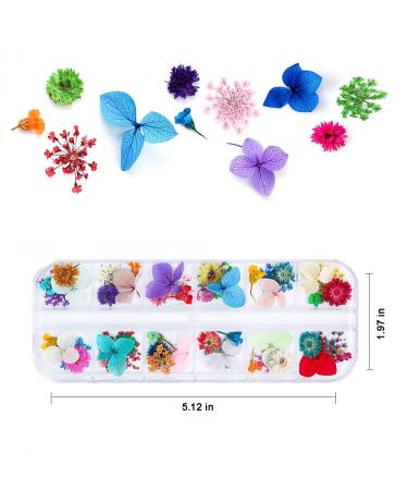 Dried Flowers for Resin Nail Art - 108 Pcs in 62 Colors - 3D Dry Flowers for Nails - Real Natural Flower Nail Art Decoration Supplies - Buy Online on SooperMarket.com