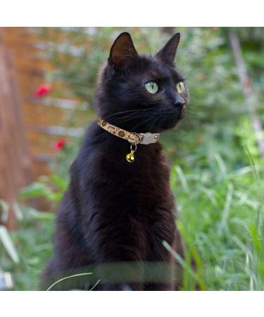 Tagme Personalized Cat Collar Set - Adjustable Safety Closure with Name & Phone Number 2-Pack Brown (18-28 cm) - Buy Online on SooperMarket.com