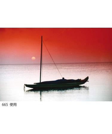 Cokin A665 Gradual Fluo Red 2 Filter - Enhance Your Photography with Vibrant Red Tones - Buy Online on SooperMarket.com