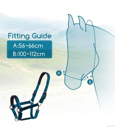 Nobleza Green Knotted Halter for Horses | Padded Nose & Neck | Perfect for Riding Training - International Shipping Available - Buy Online on SooperMarket.com