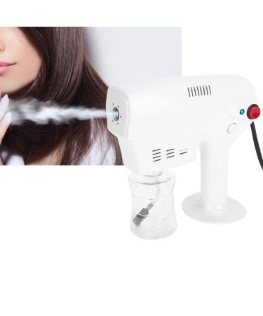 Nano Sprayer  Multifunctional Nano Steam Gun  Steamer Gun for Hair  Hair Coloring Dyeing Steamer Humidifer Hair Care Tool Us Plug