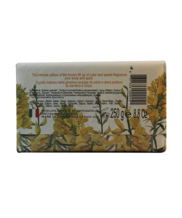 Nesti Dante Dei Colli Fiorentini Triple Milled Soap - Broom 250g | Luxe Vegan Soap for International Shipping - Buy Online on SooperMarket.com