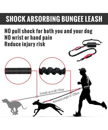 Plutus Pet Hands Free Dog Lead | Dual Handle Retractable Bungee Lead | Reflective Stitches | Adjustable Waist Lead for Medium Large Dogs - Red - Buy Online on SooperMarket.com