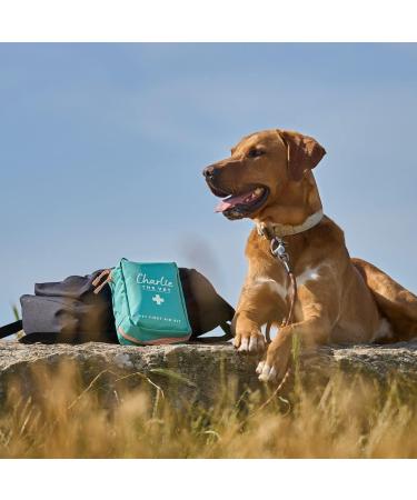 Vet Approved Dog First Aid Kit - Premium Supplies for Emergencies: Thermometer, Bandages, Nail Clippers, Tick Removers & More - Buy Online on SooperMarket.com