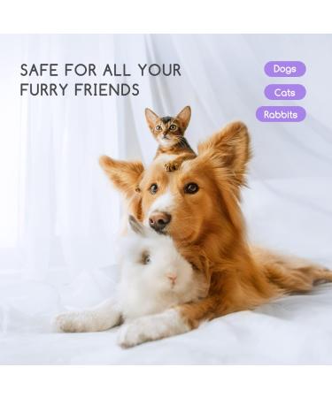 Nobleza Dry Foam Shampoo for Dogs Cats & Rabbits - Lavender 250ml | Ideal After Walks & Before Bed for Kittens & Puppies - Buy Online on SooperMarket.com