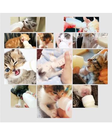 DoubleWood Nursing Bottle Kit with Replacement Nipple for Newborn Kittens, Puppies, Rabbits, Small Animals - Buy Online on SooperMarket.com
