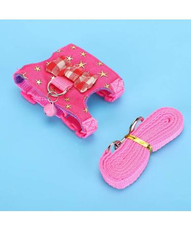 Small Animal Dishes & Leash Set for Squirrels Hamsters Ferrets & Guinea Pigs | Perfect Pet Accessories - Buy Online on SooperMarket.com