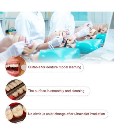 Buy Complete Resin Dentures | High-Quality Artificial Teeth & Dental Supplies for International Shipping - Buy Online on SooperMarket.com