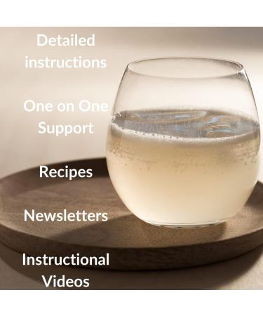 Organic Dehydrated Water Kefir Grains by Happy Gut - Unlimited Usage, Vegan, Gluten-Free - Buy Online on SooperMarket.com