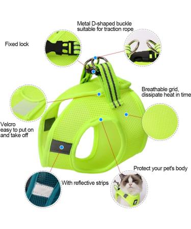 Buy Cat Dishes & Harness Set | Outdoor Leash & Bowls for Cats & Dogs - International Shipping - Buy Online on SooperMarket.com